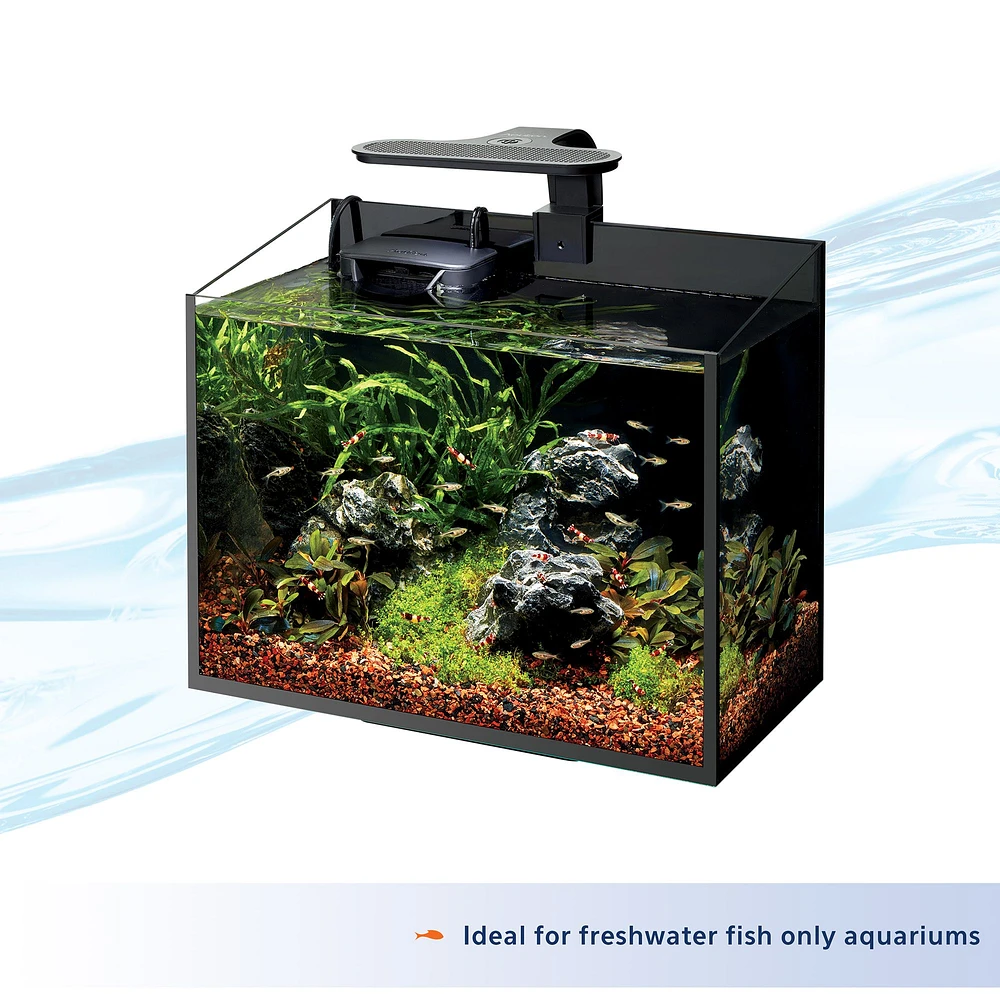 Petsmart fish lights best sale