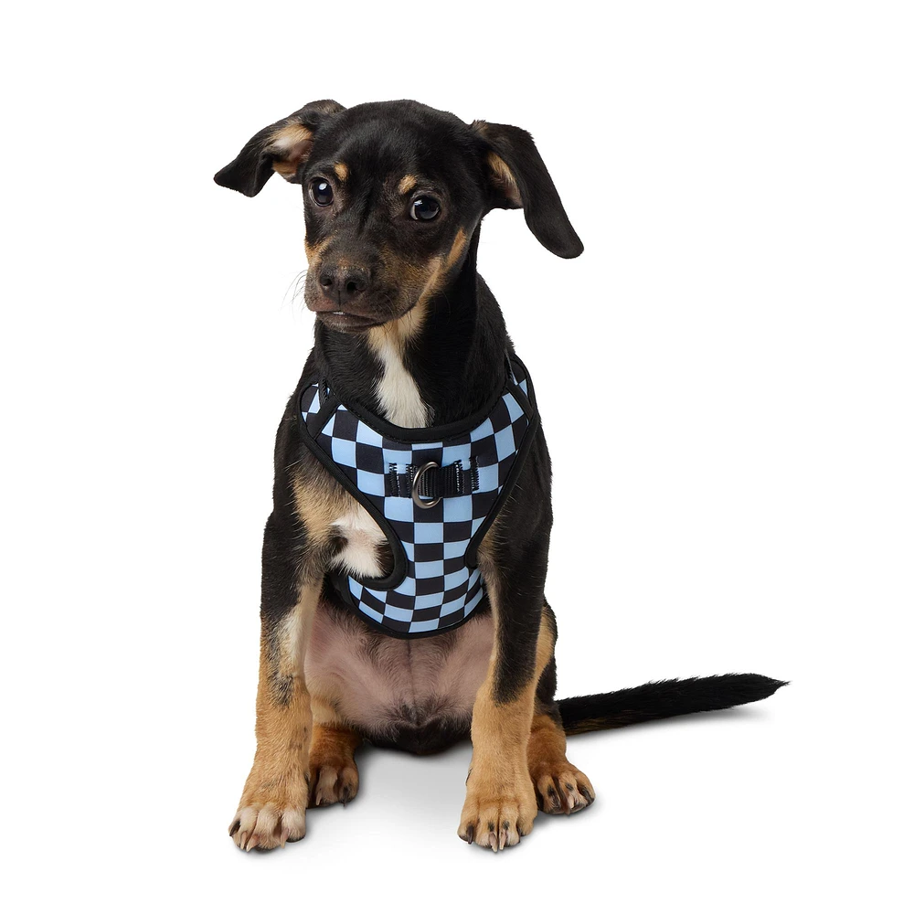 Petsmart dog seat shops belt