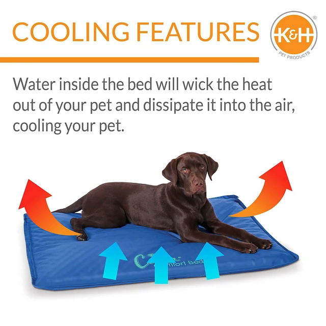 Dog cooling mat petsmart hotsell