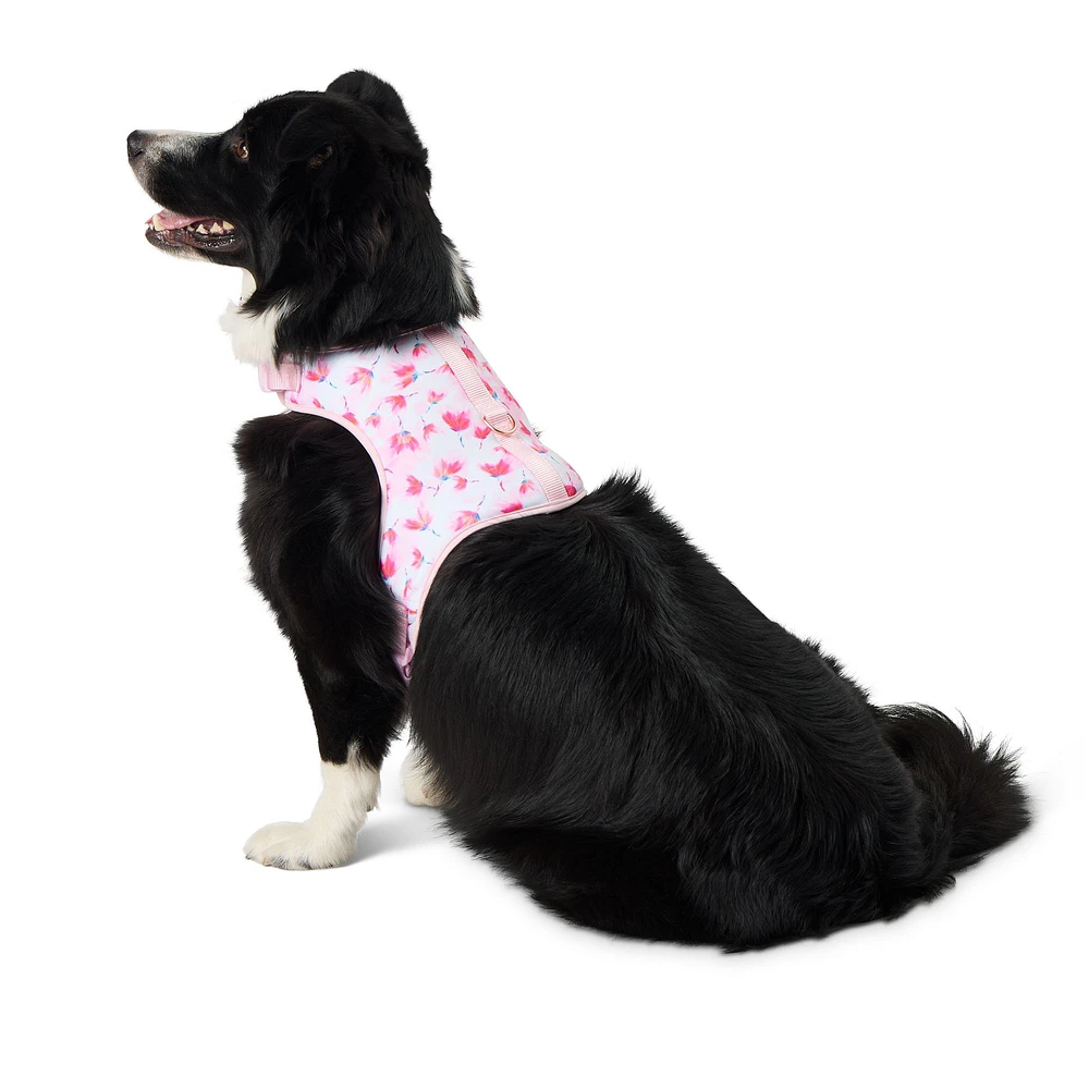 Full body dog harness petsmart best sale