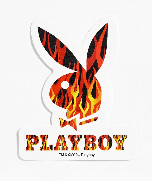 Color Bars x Playboy Flames Sticker | Connecticut Post Mall