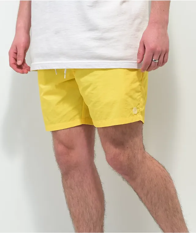 Zumiez board hot sale shorts