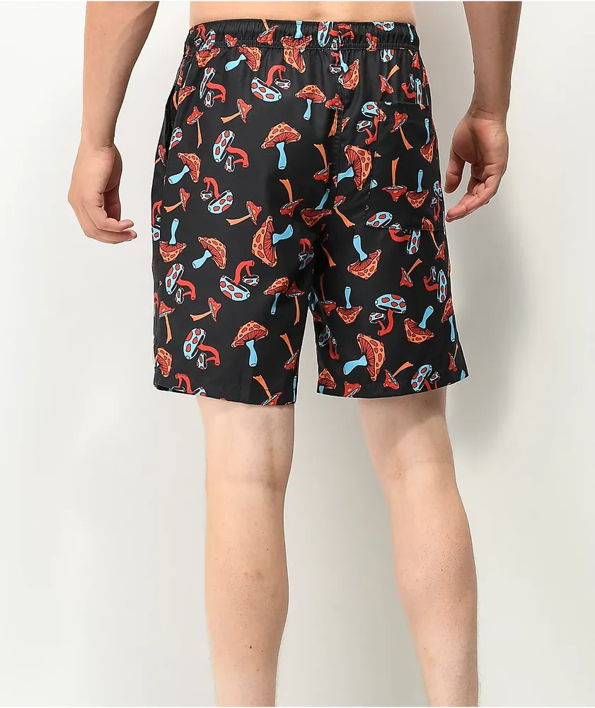Zumiez store board shorts