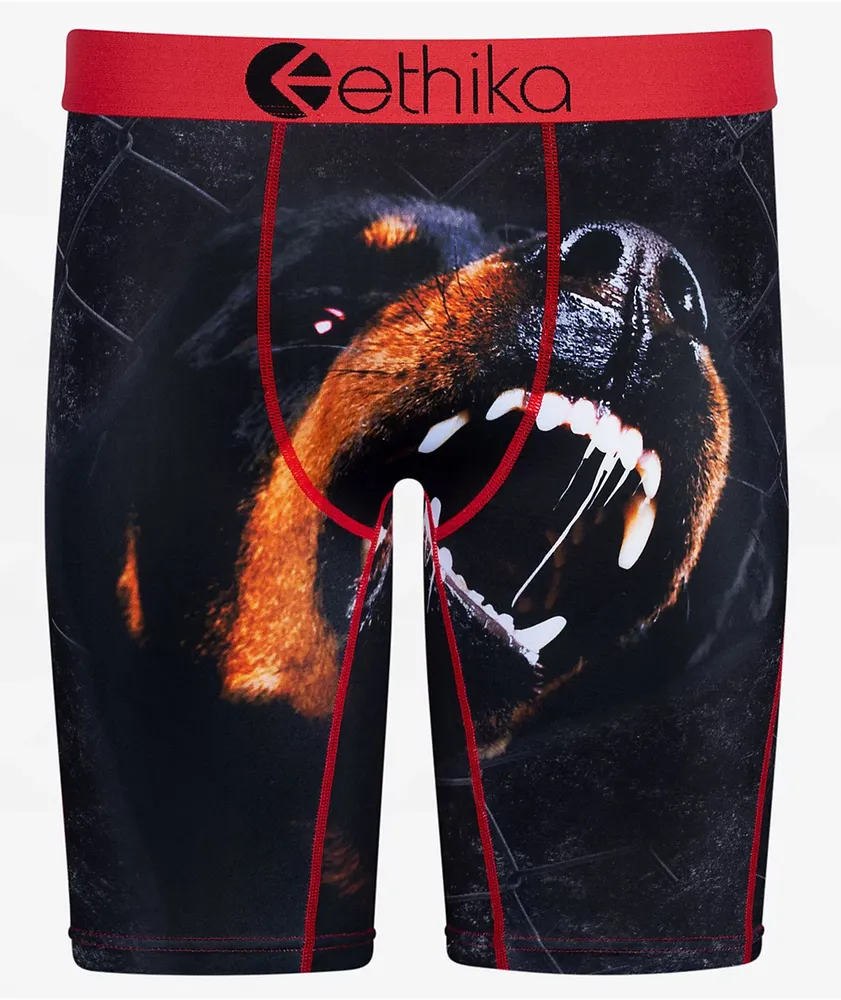 Ethika underwear 2025 men