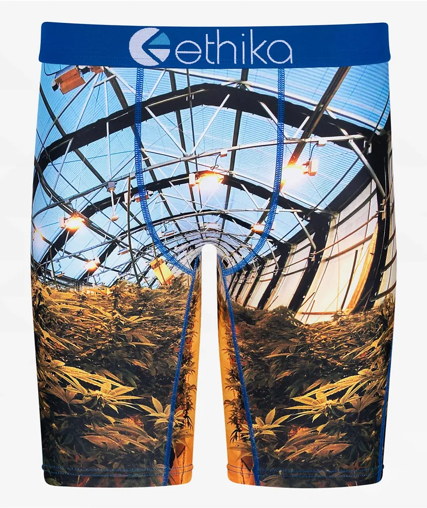 Ethika Grow House Boxer Briefs Willowbrook Shopping Centre