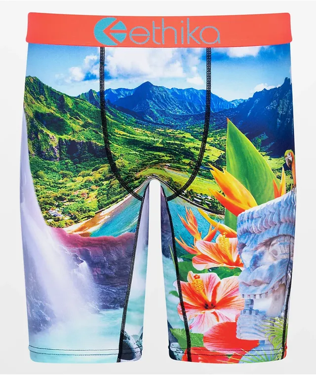 Ethika on sale swim trunks