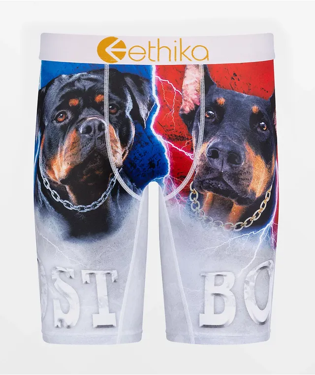 Ethika Men s Lost Boys Boxer Briefs Hamilton Place