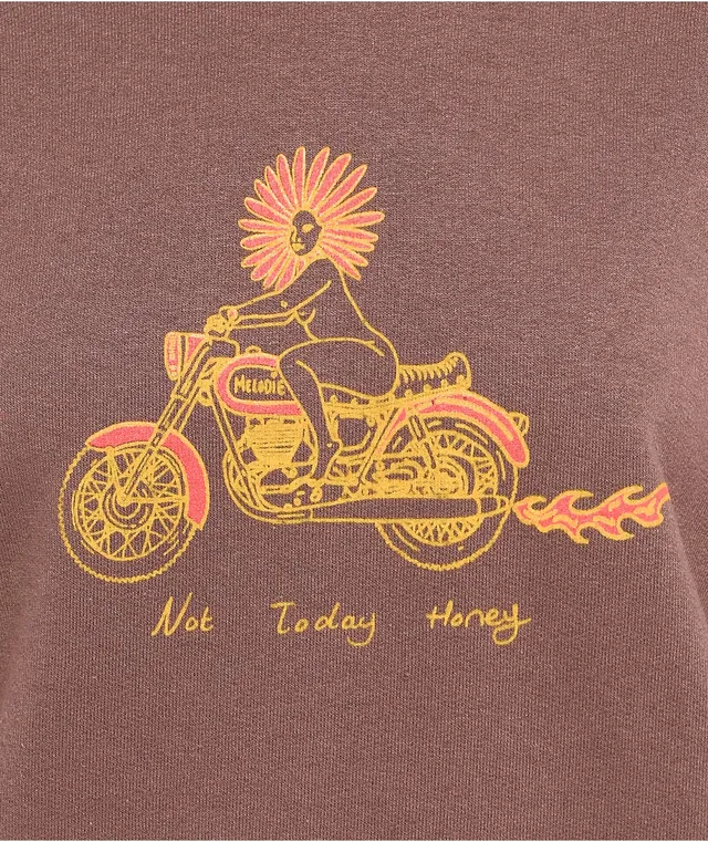 Honey on sale hoodie zumiez