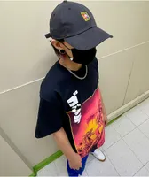 Nike sb sports hat shop