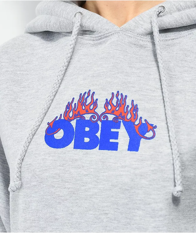 Grey best sale obey hoodie
