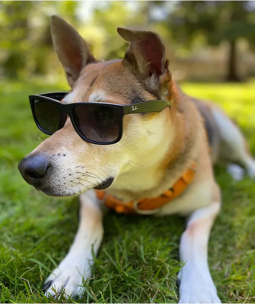 Justin polarized sunglasses shop