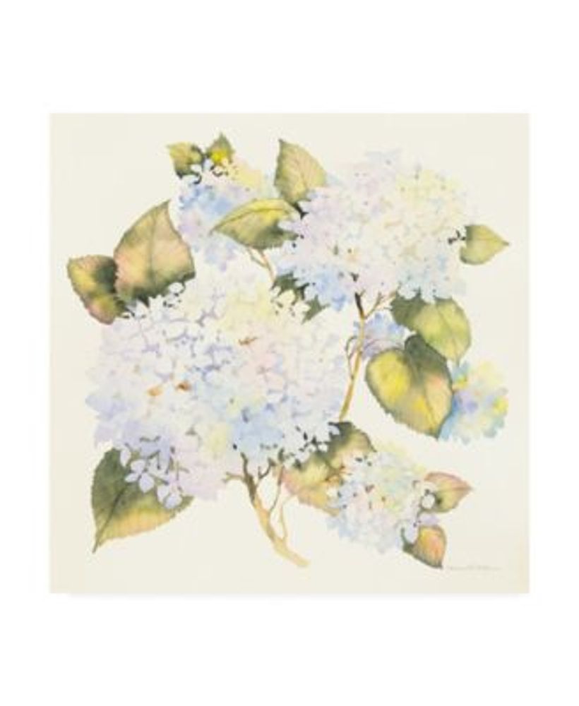 Trademark Global Kathleen Parr Mckenna Hydrangeas in White Canvas Art ...