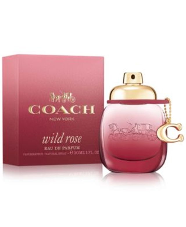 Macys coach floral 2025 perfume