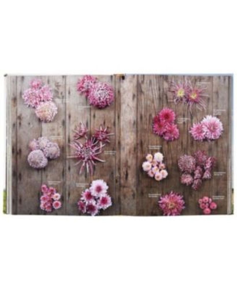 Barnes & Noble Floret Farm's A Year in Flowers Designing