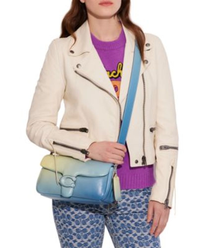 Coach discount ombre bag