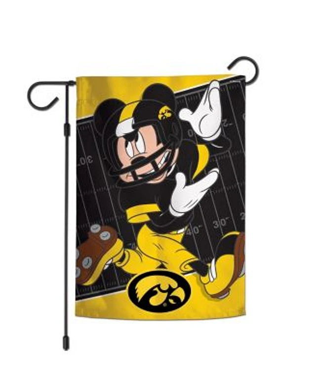 Team flags Mall of America®