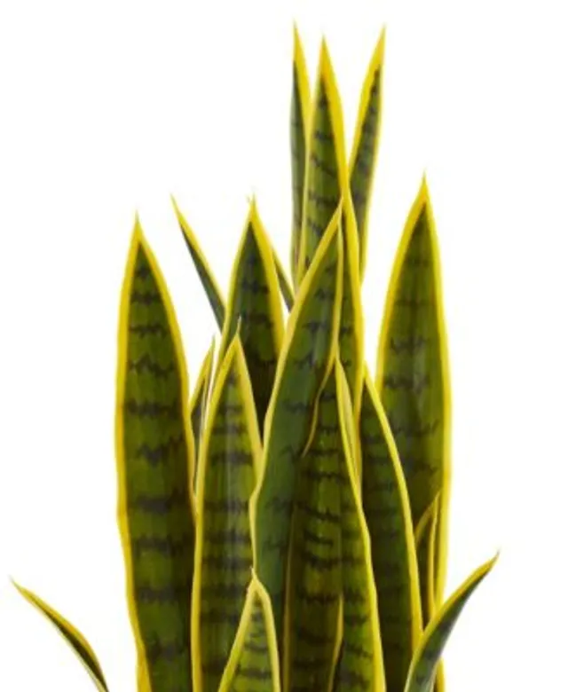 Nearly Natural 33” Sansevieria Artificial Plant | MainPlace Mall