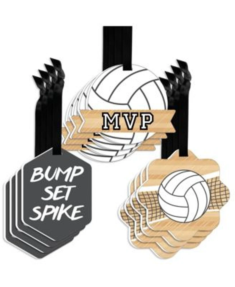 Big Dot of Happiness Bump, Set, Spike Volleyball Assorted Hanging