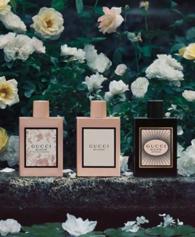 Macy's gucci online bloom perfume
