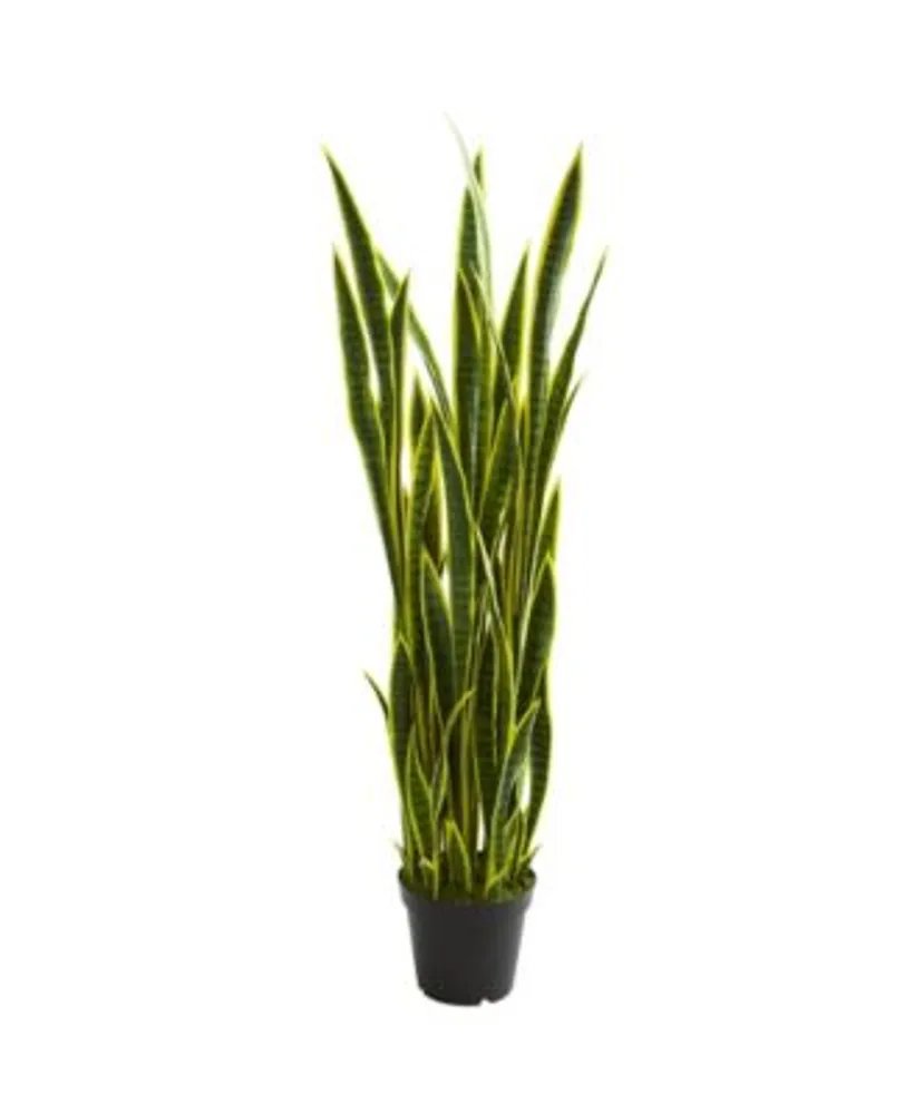 Nearly Natural 5' Sansevieria Artificial Plant | Hawthorn Mall