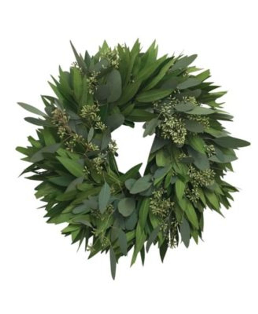 GreenishBlu Fresh Bay Leaf and Seeded Eucalyptus Wreath, 20" Mall of