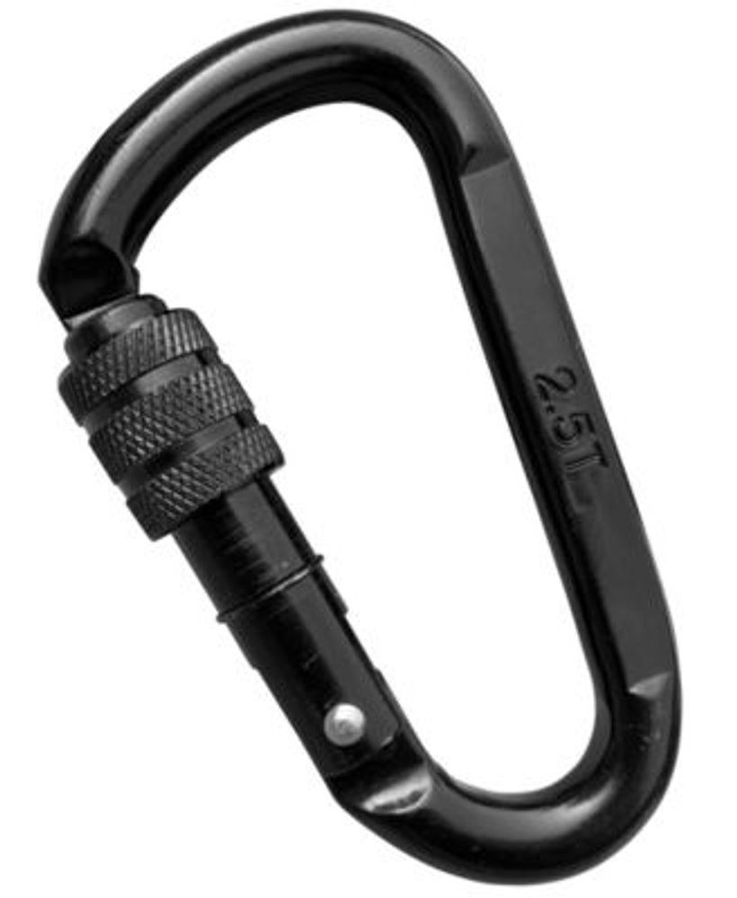 M&M Sales Enterprises Cast Steel Locking Carabiner Swing Accessory Mall of America®