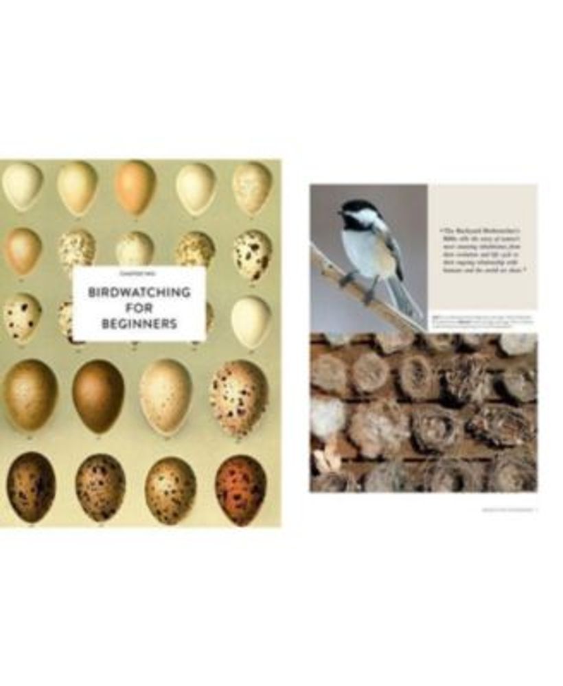 Barnes & Noble The Backyard Birdwatcher's Bible Birds, Behaviors