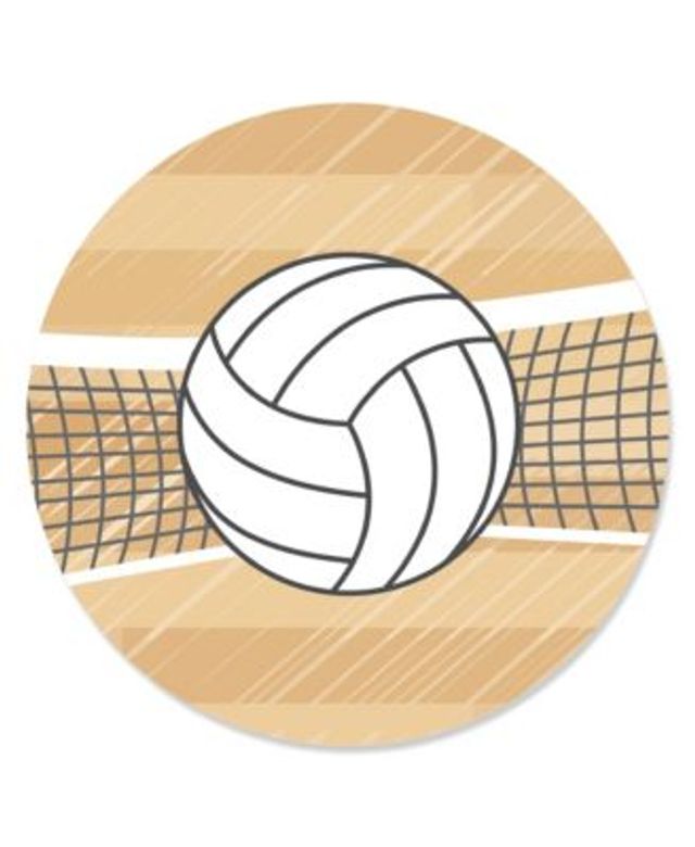 Big Dot of Happiness Bump, Set, Spike Volleyball Baby Shower or