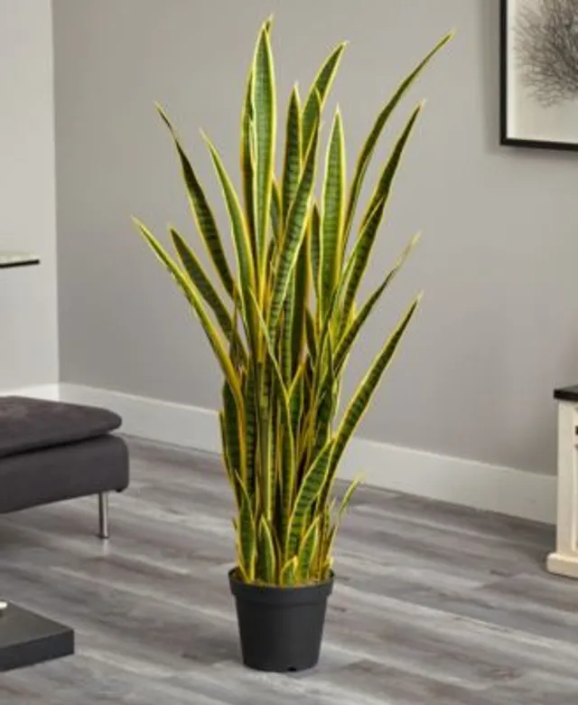 Nearly Natural 5' Sansevieria Artificial Plant | Hawthorn Mall