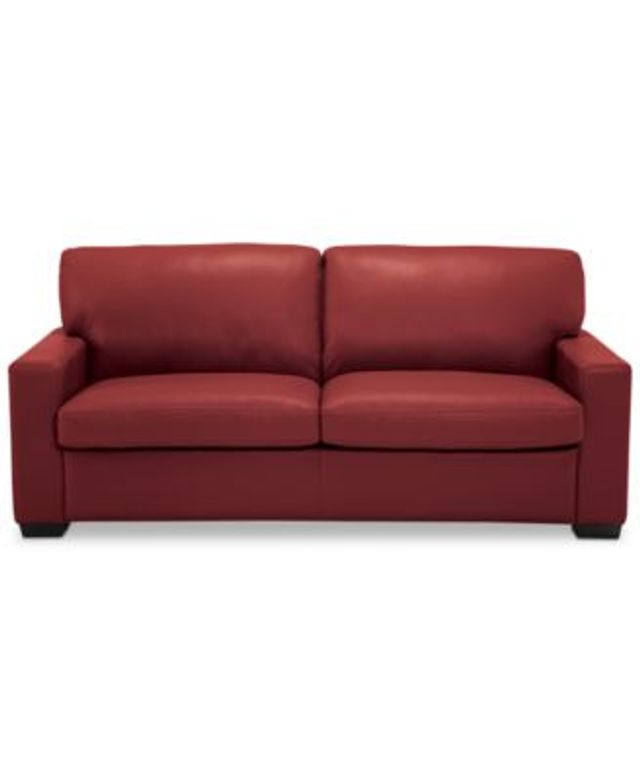 Macy Furniture American Leather Sleeper Sofa Matttroy