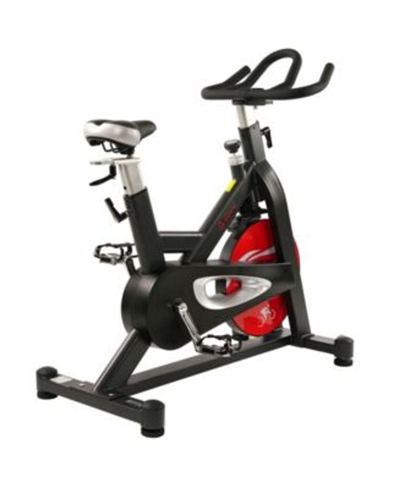 Sunny Health and Fitness Evolution Pro Magnetic Belt Drive Indoor
