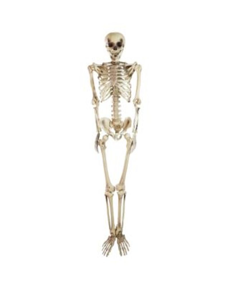 Northlight Life Size Skeleton Halloween Decoration, 5' Mall of America®
