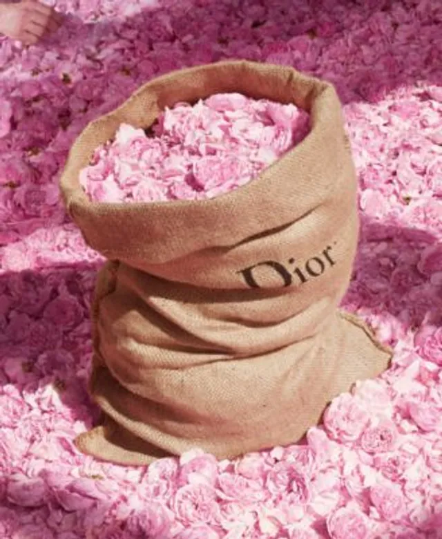 Miss dior rose n roses macy's outlet