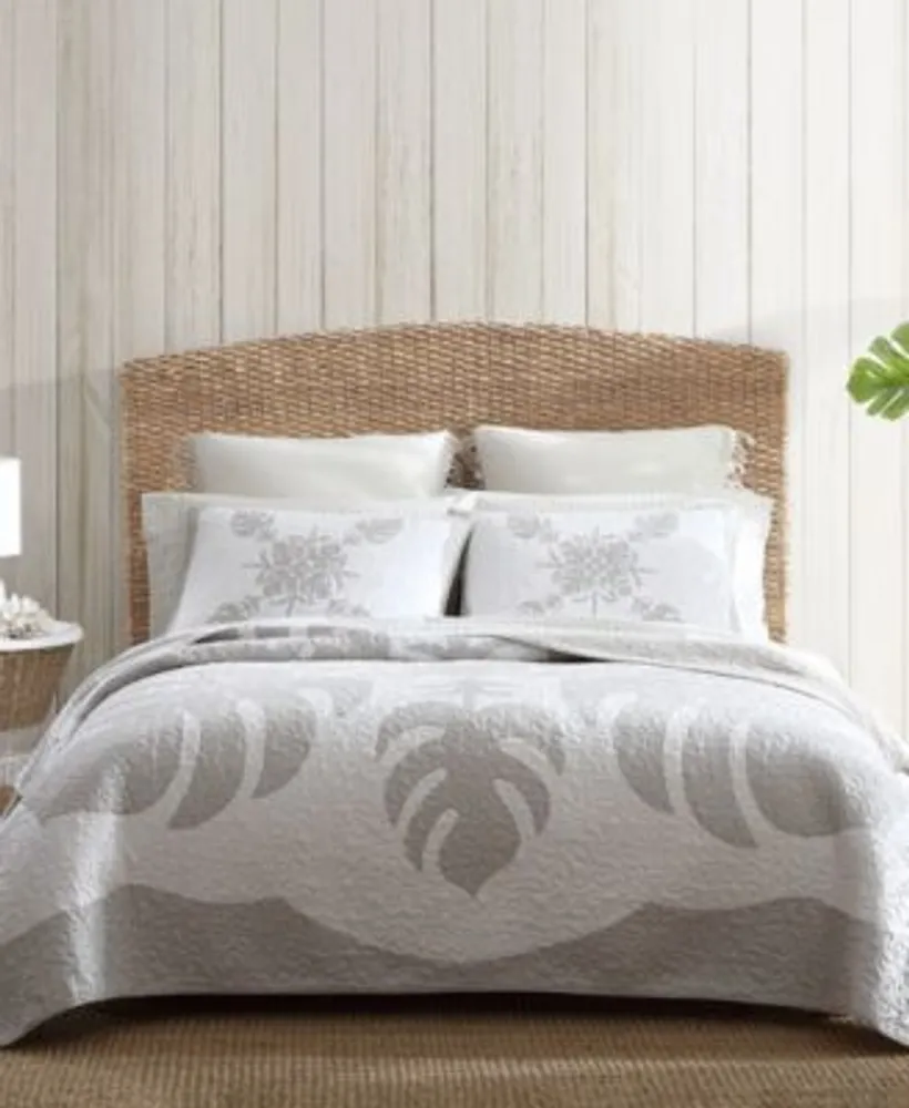 Tommy bahama closeout hotsell