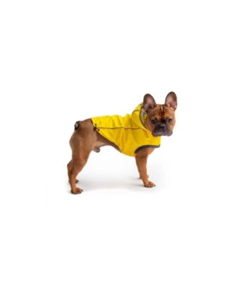 Macys cheap dog coat