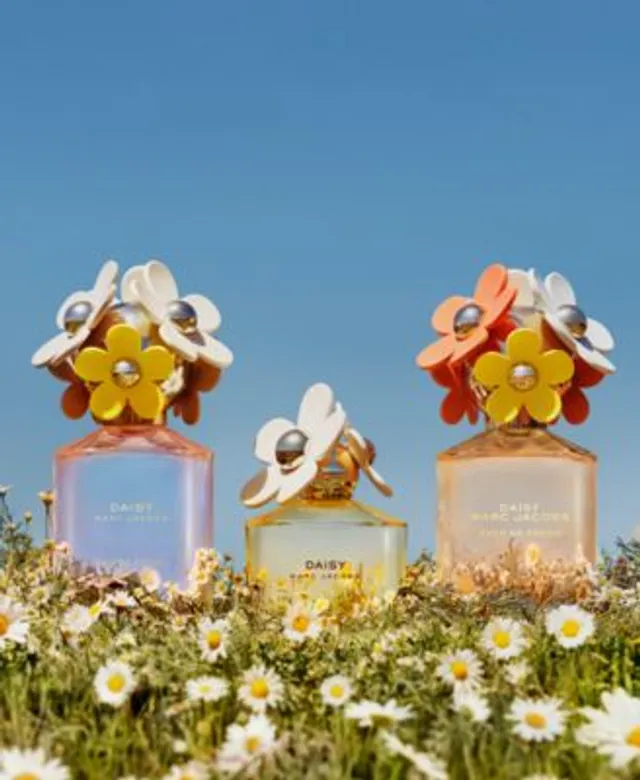 Macy's daisy eau so fresh hot sale
