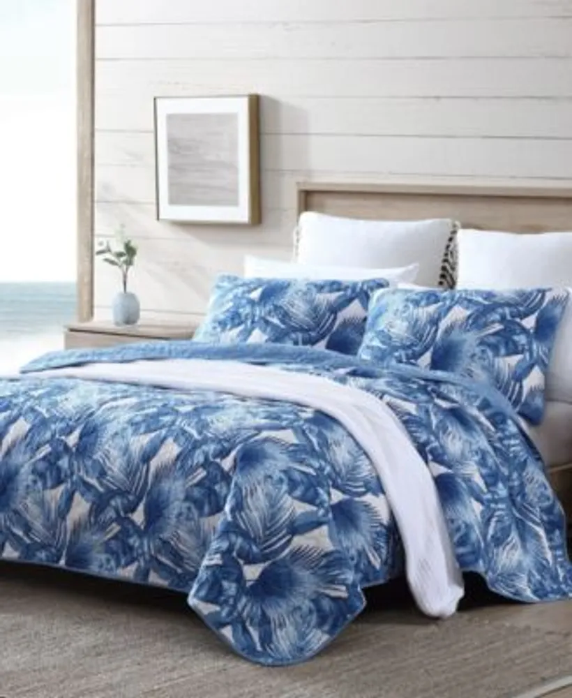 Tommy best sale bahama closeout