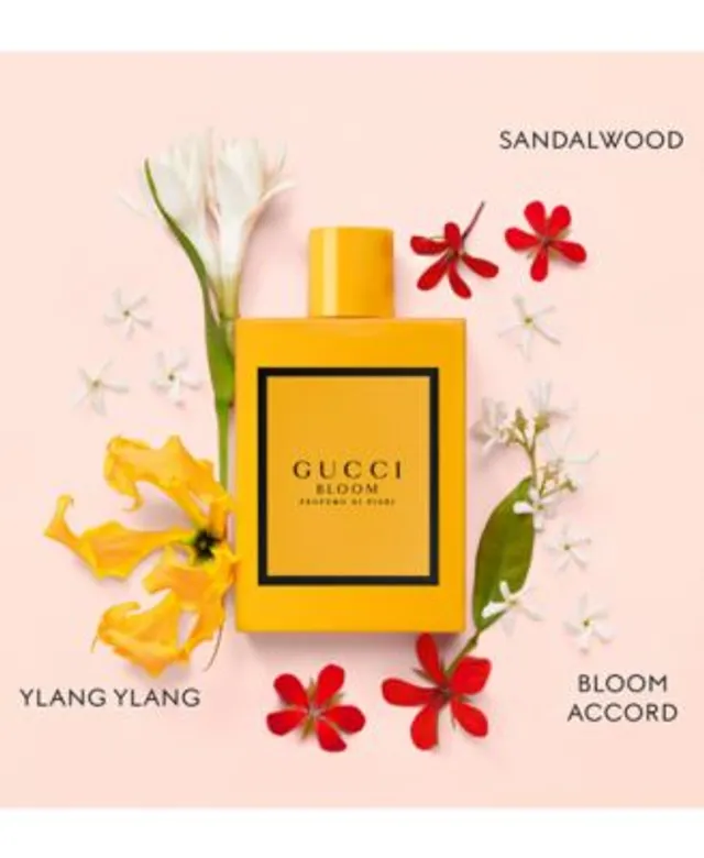 Gucci bloom shop macy's