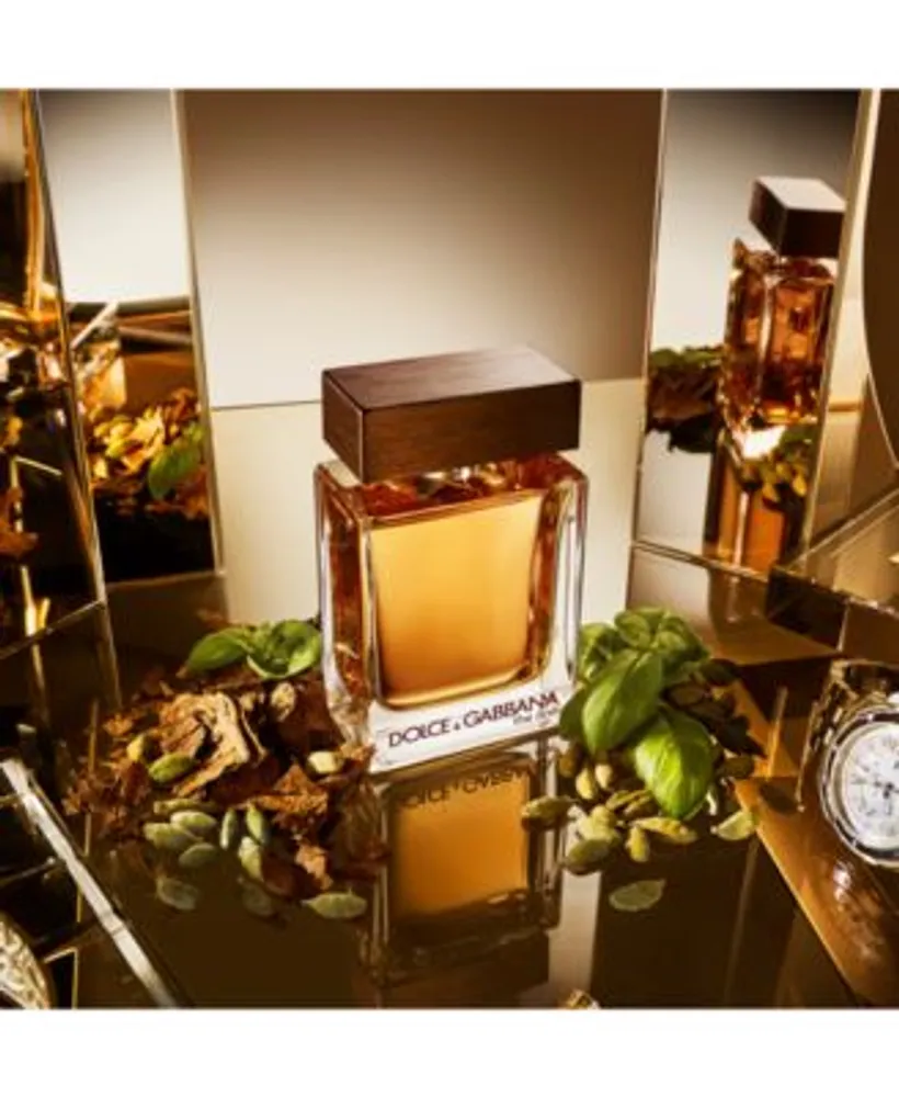 Macy's the one dolce and gabbana outlet