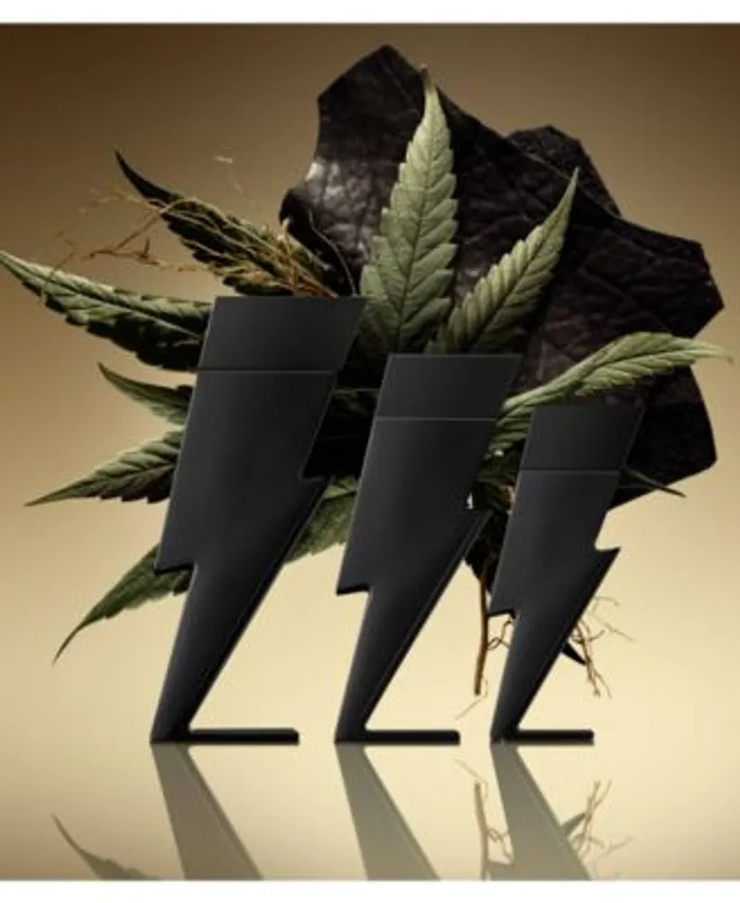 Carolina Herrera Mens Bad Boy Le Parfum Fragrance Collection