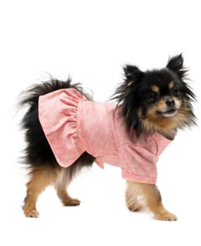 Juicy couture dog clothes hot sale