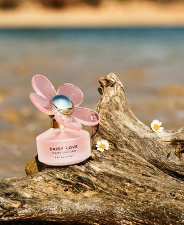Macy's daisy love shop
