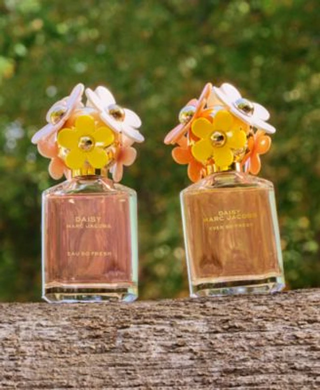 Macy's perfume daisy discount