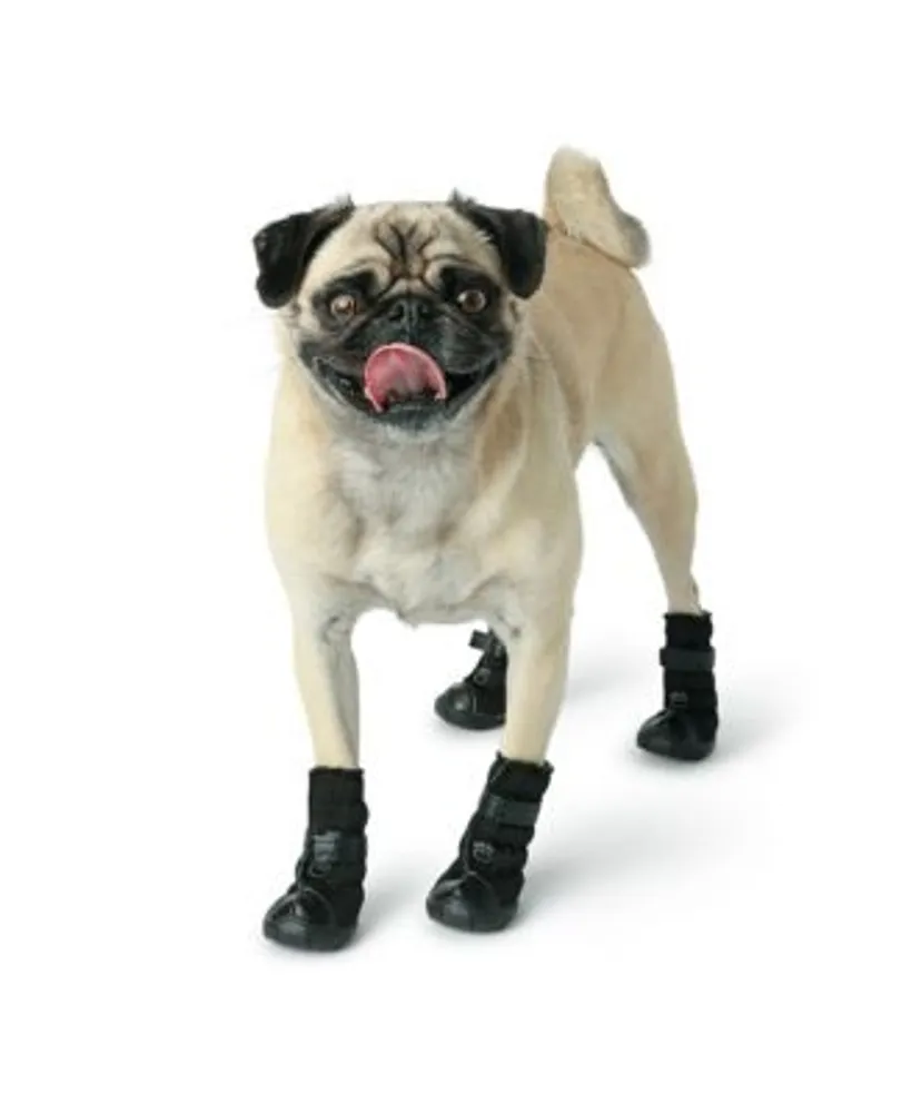 Paws discount boots macys