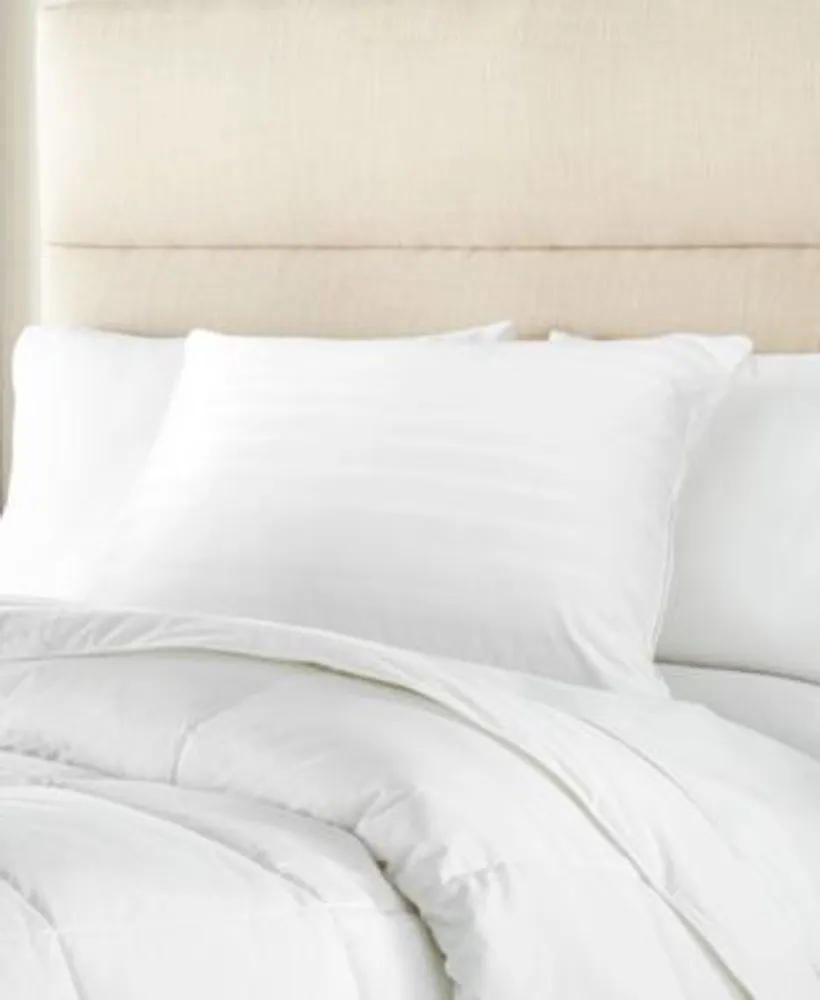 Charter Club 360 Down Feather Chamber Pillow Created For Macys