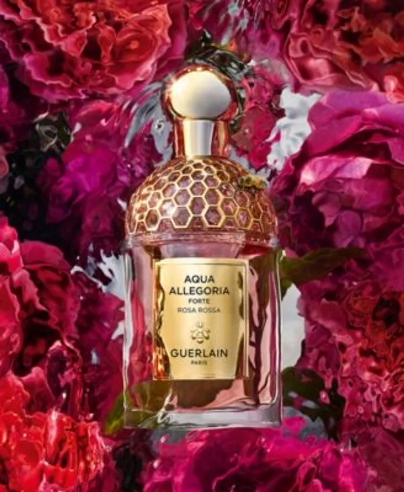 Aqua allegoria collection outlet