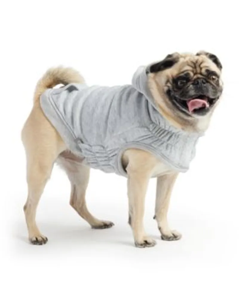 Macys cheap dog coat