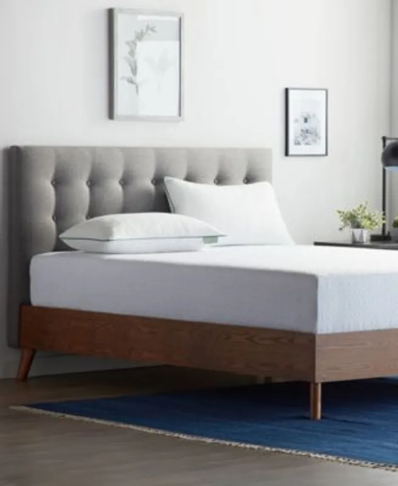 Lucid memory foam pillow clearance