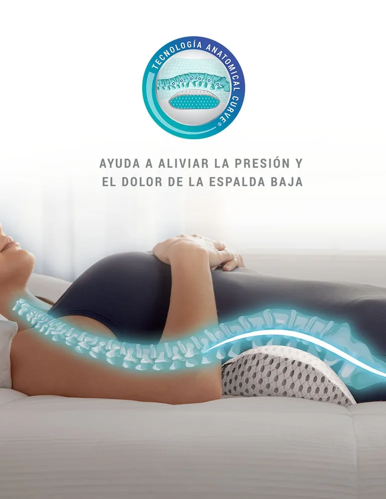 Precio de almohadas discount sognare en liverpool