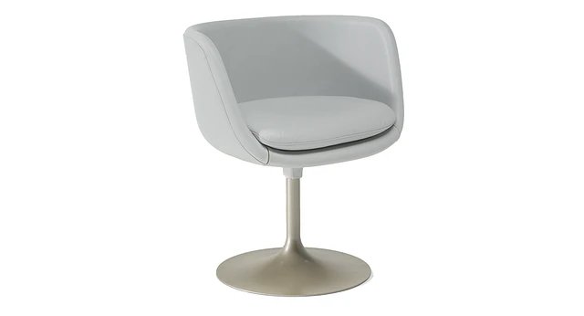 Natuzzi Italia EDGAR Dining chair Leather Optical White | The 